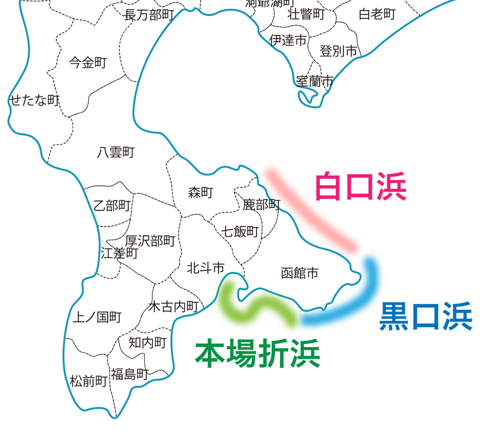 浜の紹介