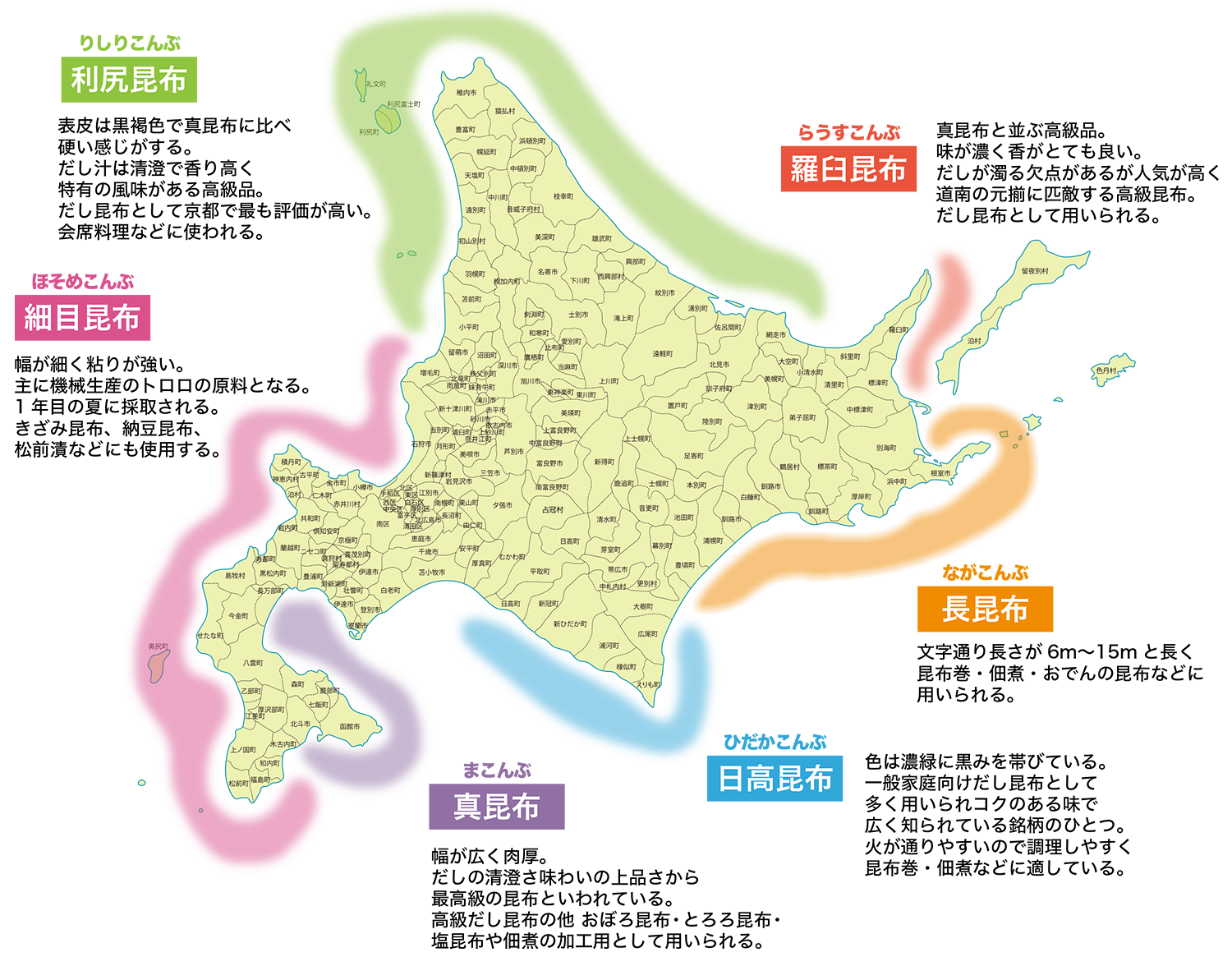 浜の紹介